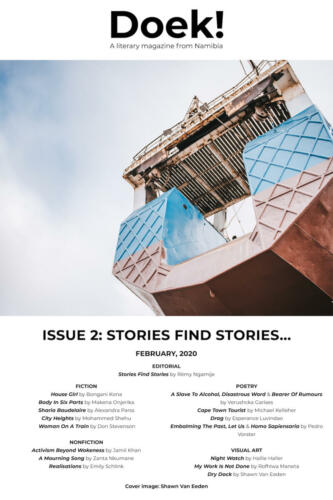 Issue 2: Stories Find Stories...