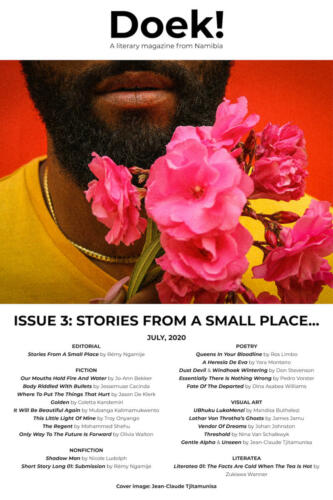 Issue 3: Stories From A Small Place...